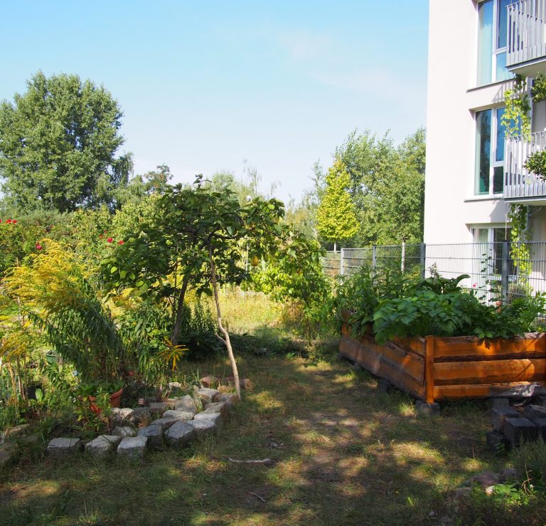 Baustelle mit Kran im Hintergrund